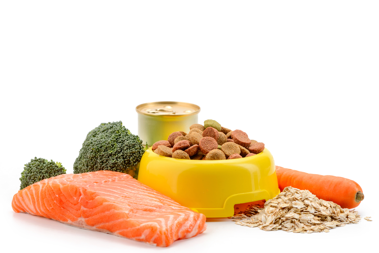5 Foods that Cats Can Safely Enjoy